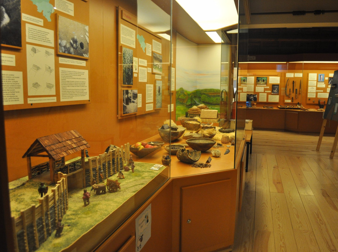 Musée des Celtes景点图片