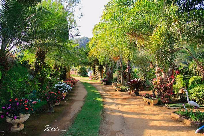 Pedra da Lajinha-Teofilo Otoni必去景点