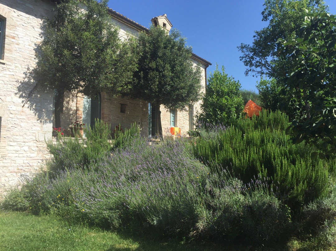 Agriturismo Molleone主图