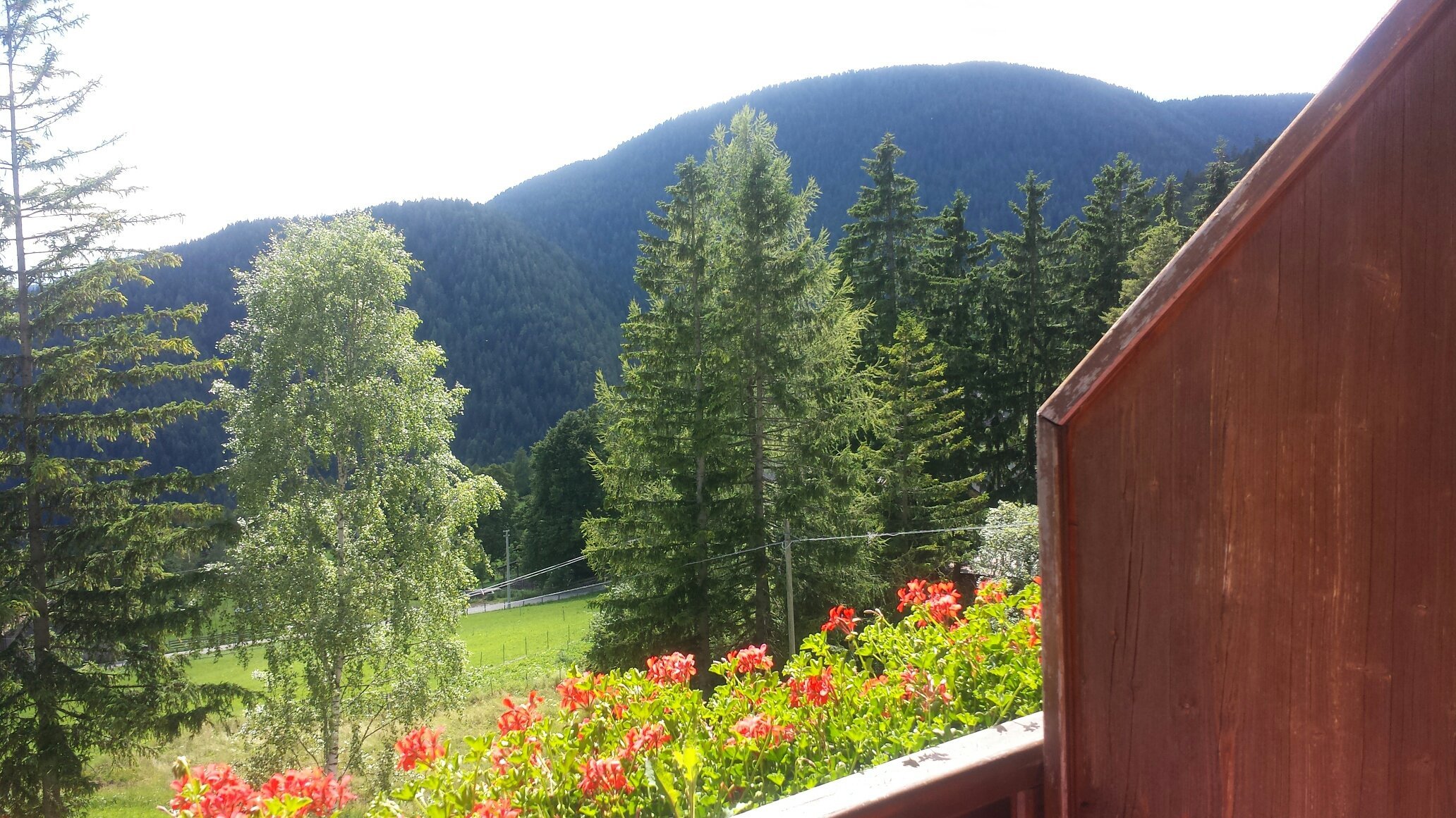 Berggasthof Pension Pfitscher-官方