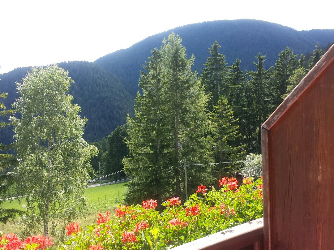Berggasthof Pension Pfitscher主图
