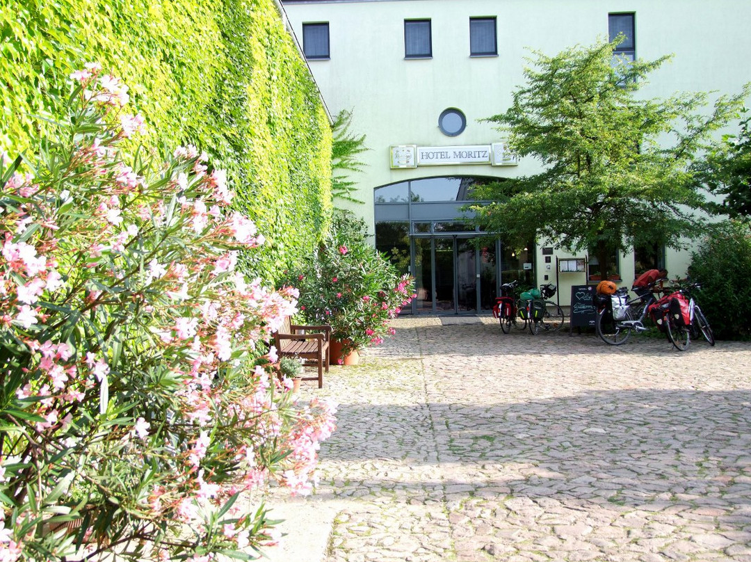 Strehla酒店住宿-Hotel Moritz An Der Elbe