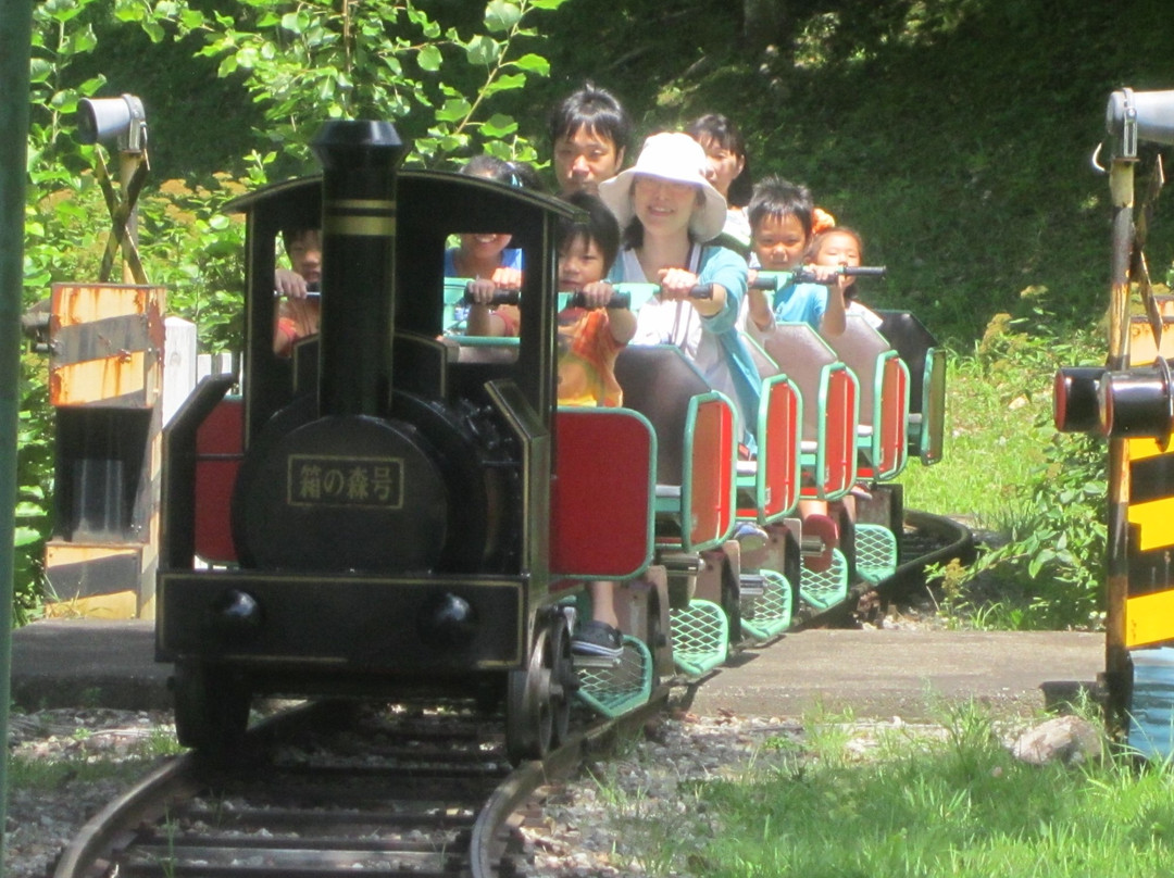 Hakonomori Play Park-那须盐原市必去景点