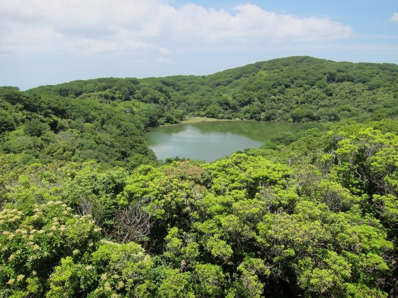 Hatchoike Pond-伊豆市必去景点
