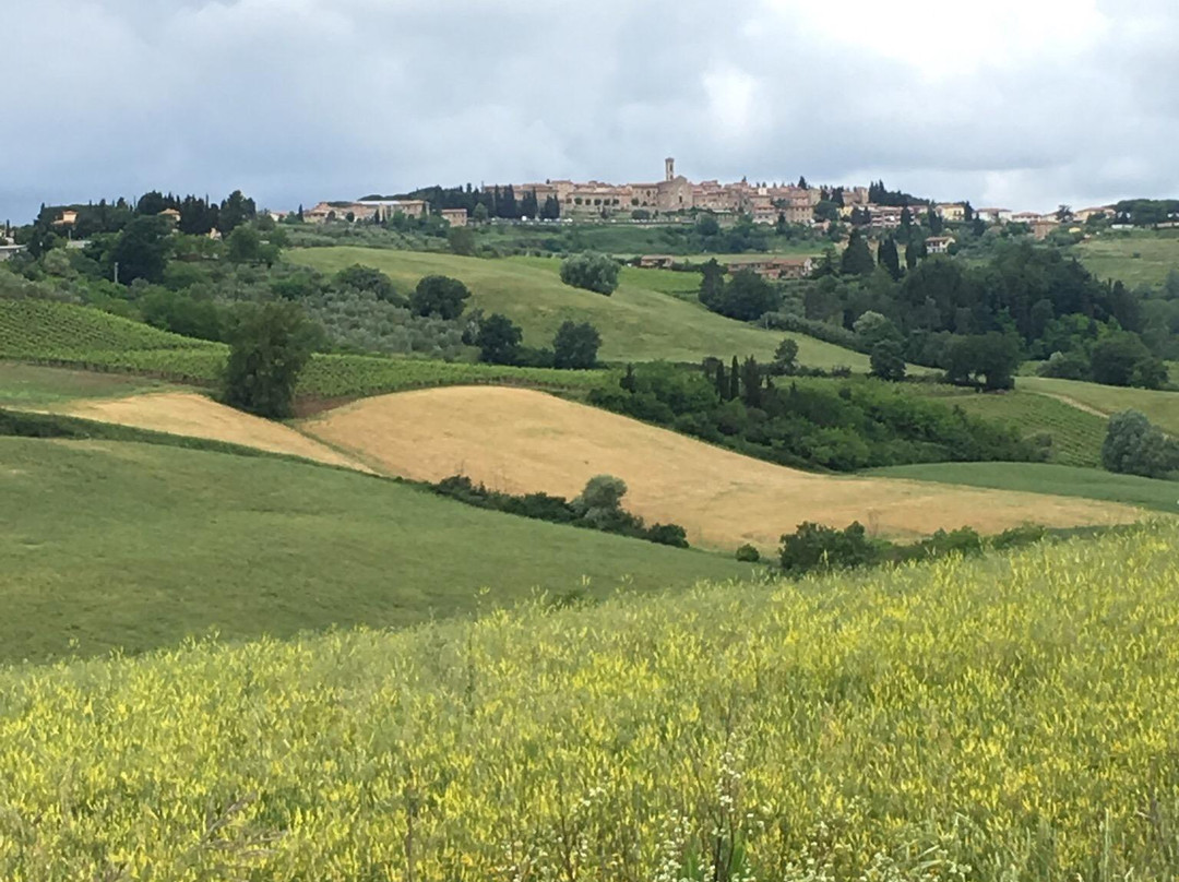 Chianti Moto & Bike景点图片