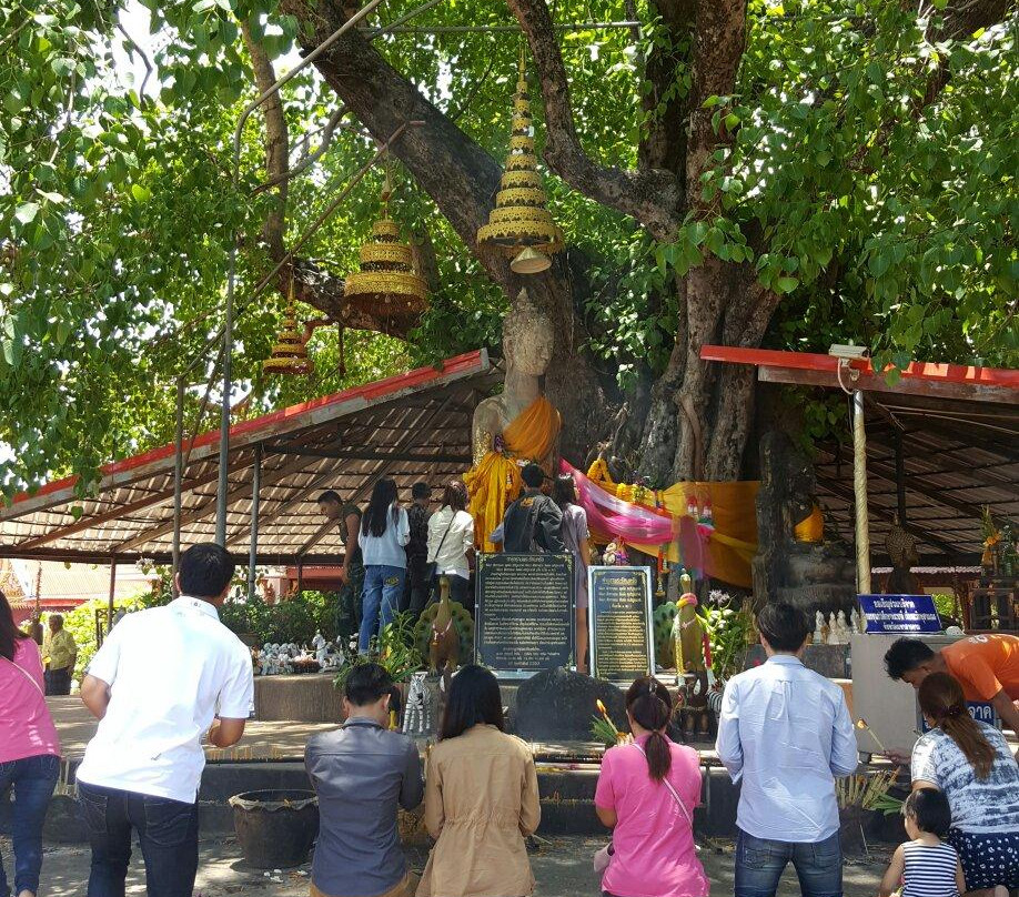 Wat Phuttha Mongkhon景点图片