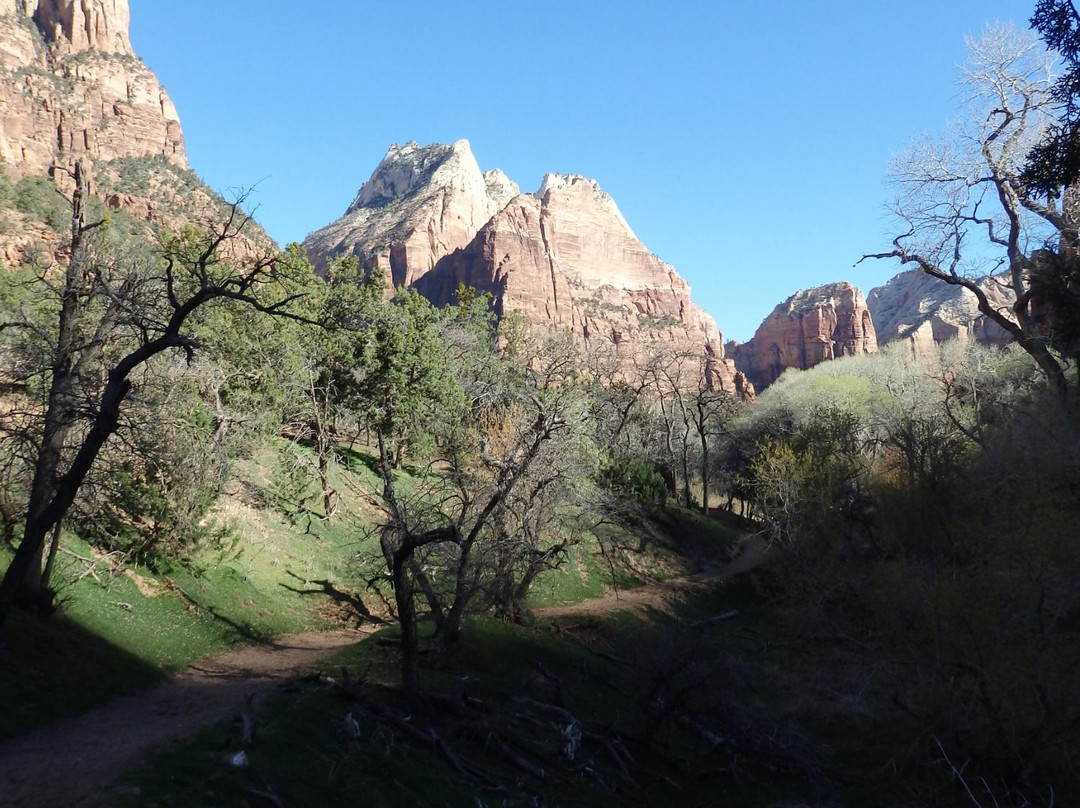 Sand Bench Trail-锡安国家公园必去景点