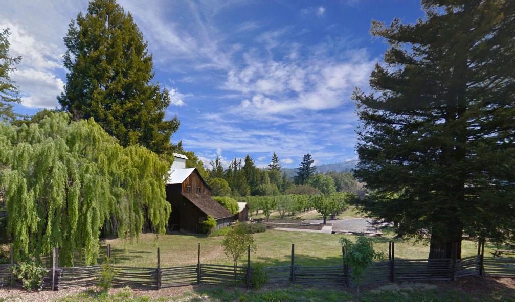Phillips Hill Winery景点图片