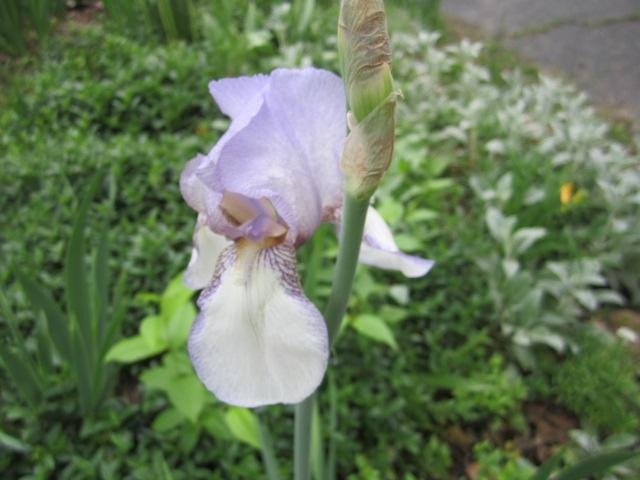 Benton House Historic Garden-印第安纳波利斯必去景点