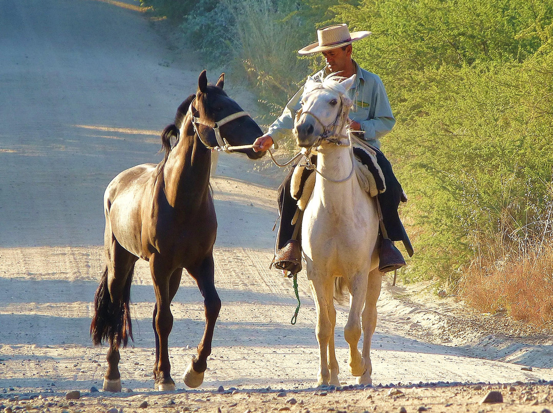 Erasmo-San Javier必去景点