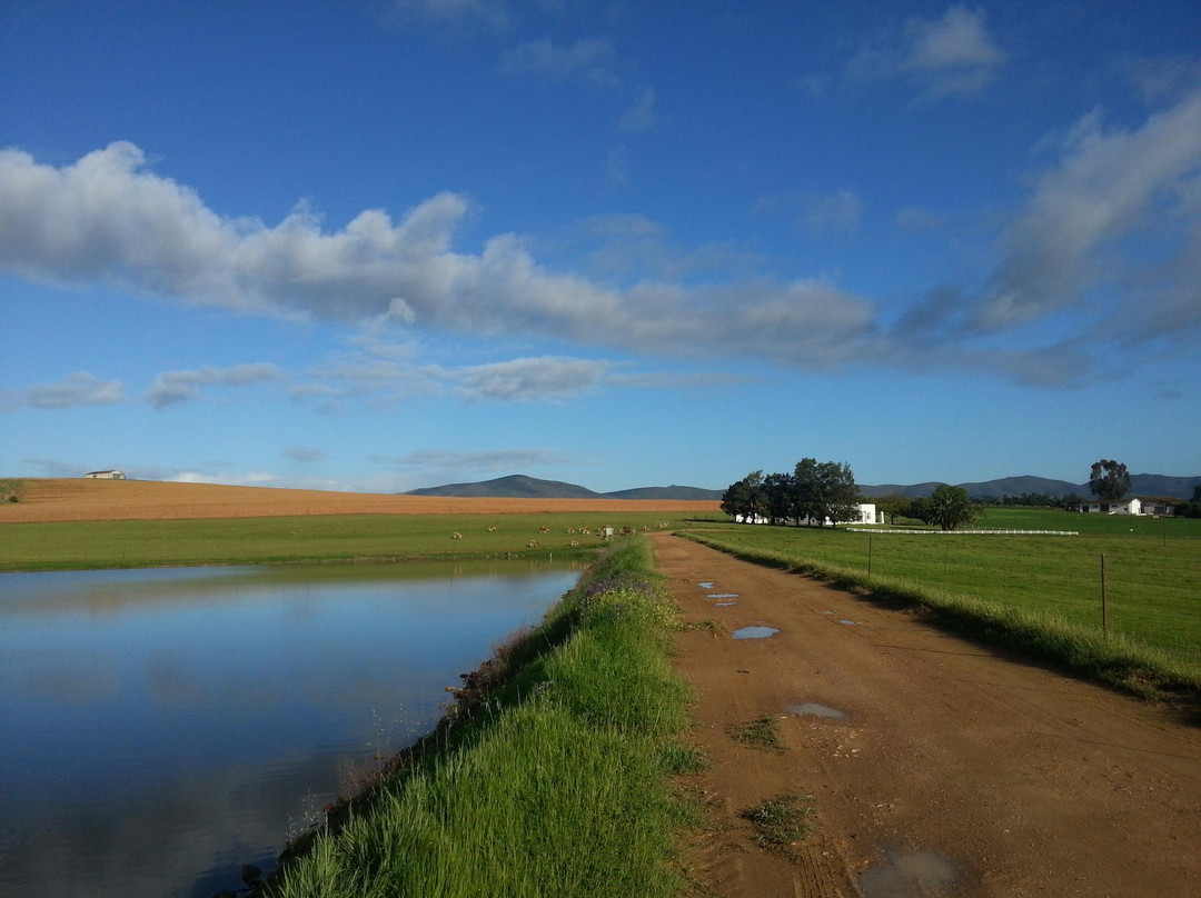 Klein Eikeboom主图