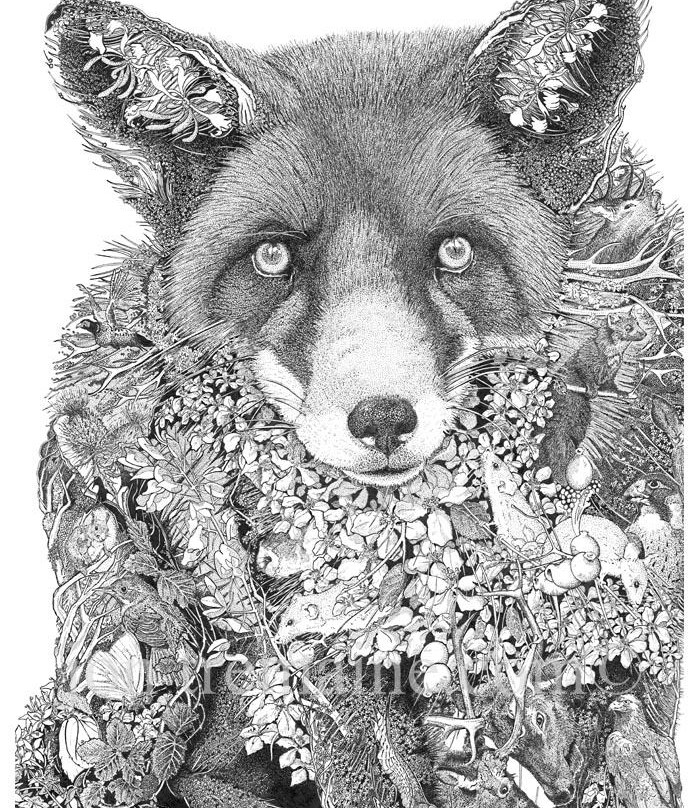 Jon Tremaine, Wildlife Artist Studio-Lelant必去景点