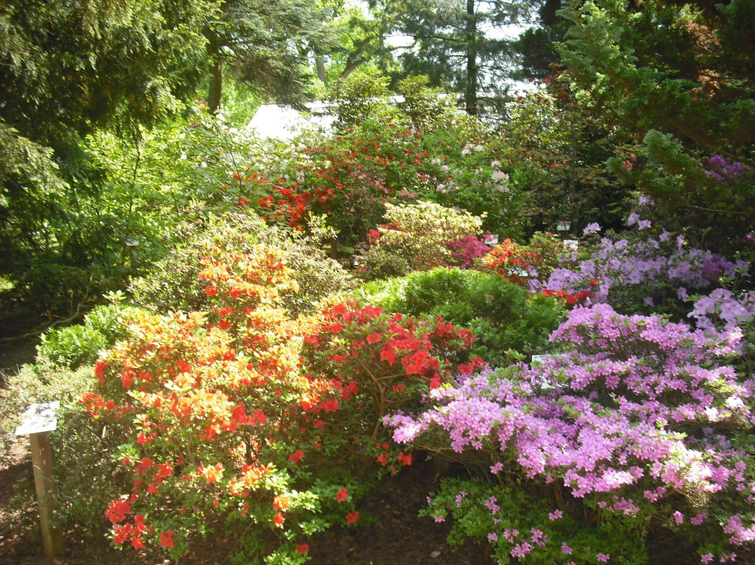 Arboretum Wirty景点图片