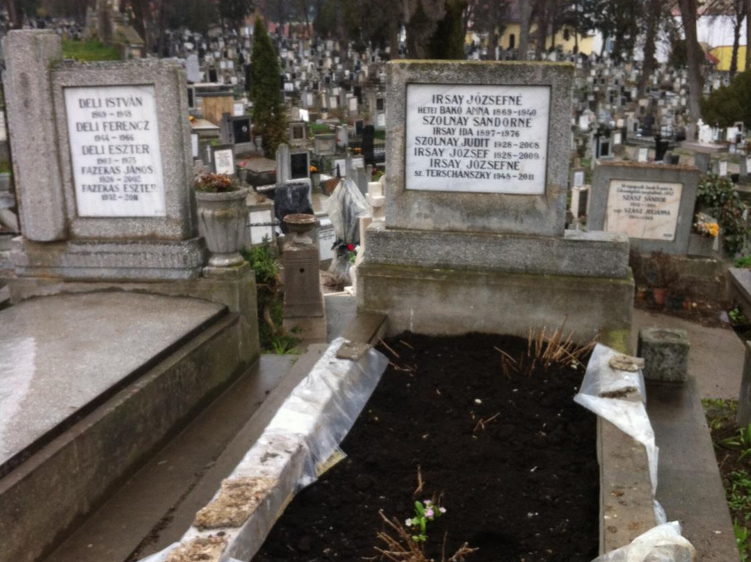 Cimitirul Central景点图片
