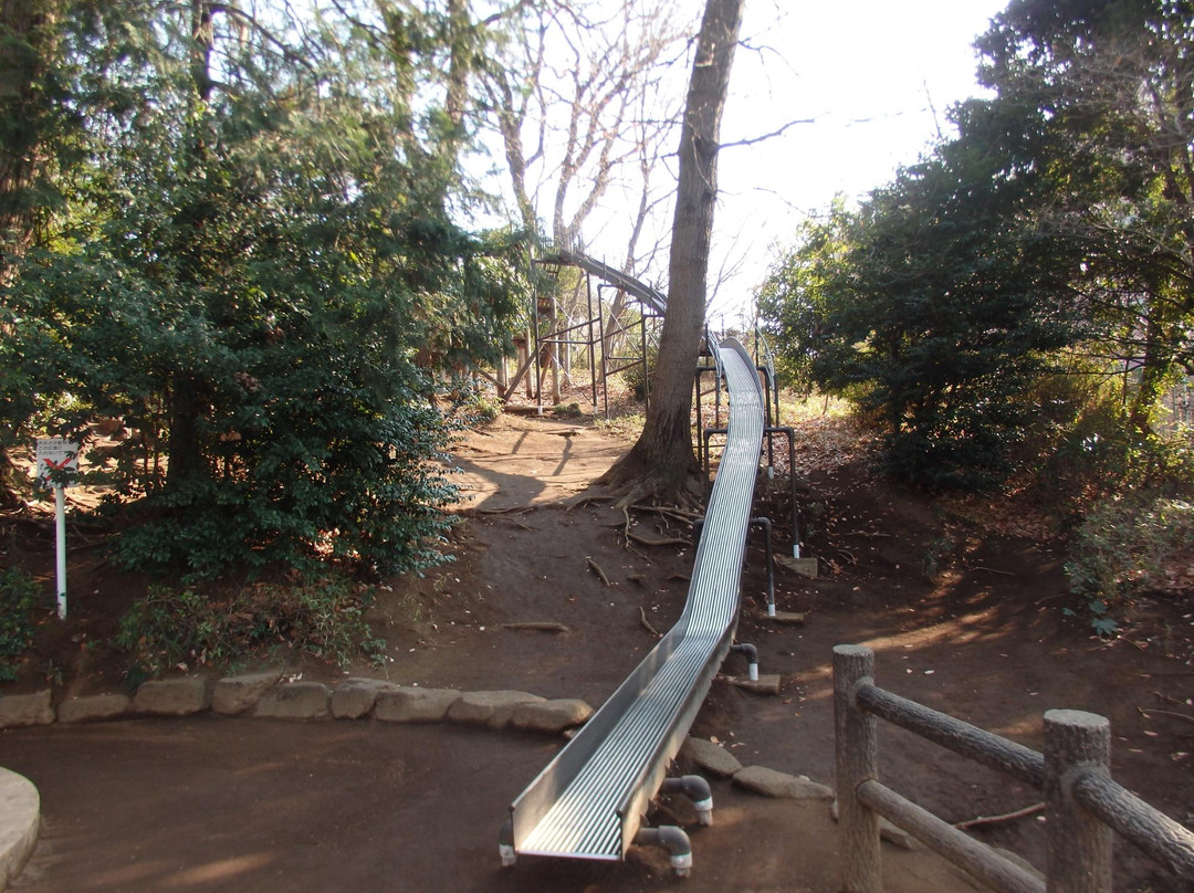 Takinone Park-朝霞市必去景点