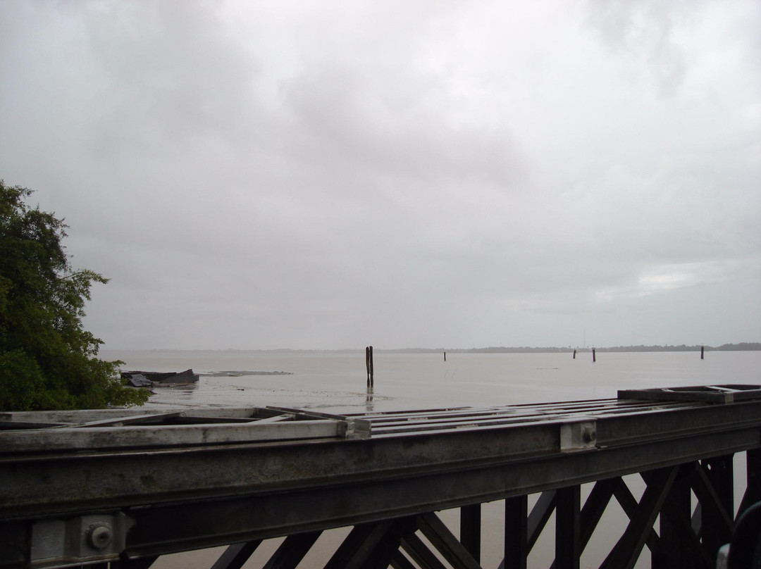 Demerara Harbour Bridge景点图片