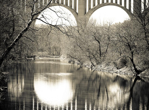 Nicholson旅游攻略图片