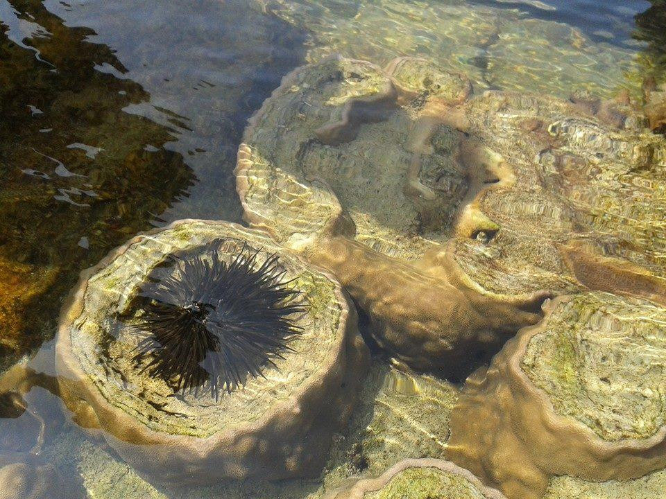 Rock Islands Santuaries-Ambalangoda必去景点