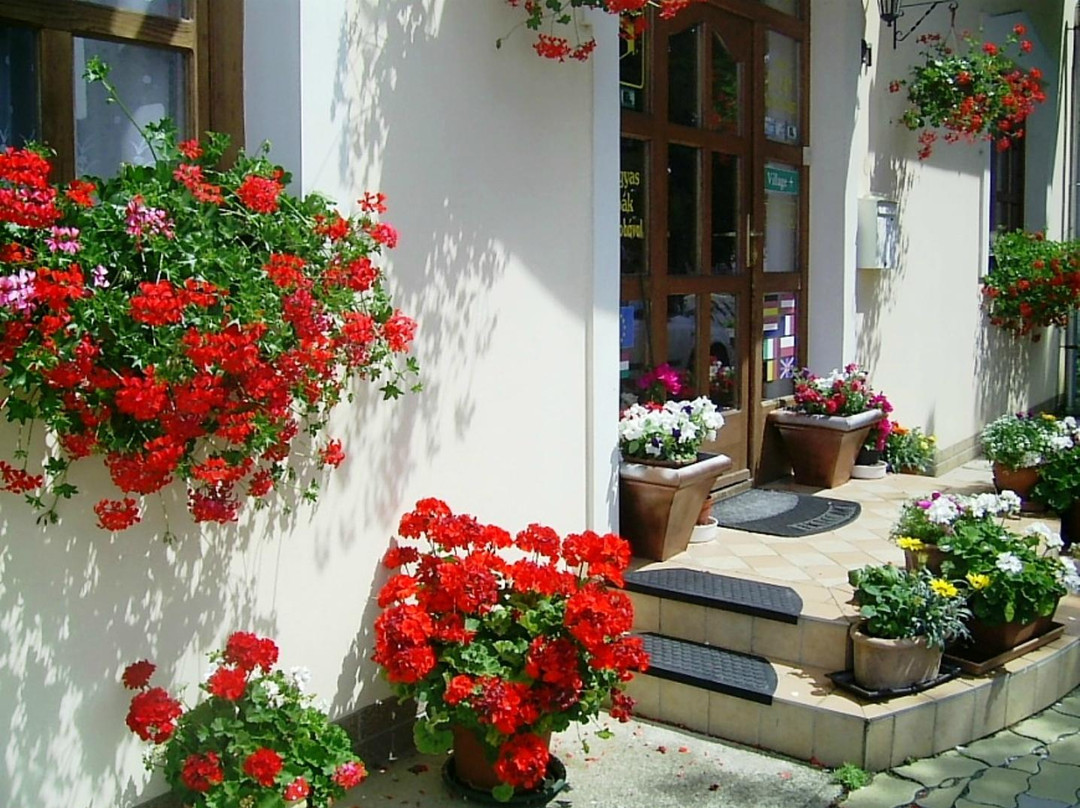 Jánosi Guesthouse