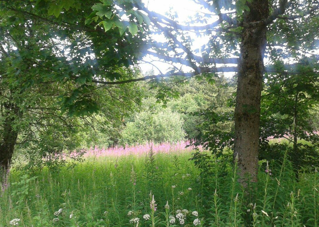 Rothsee-Bischofsheim in der Rhoen必去景点