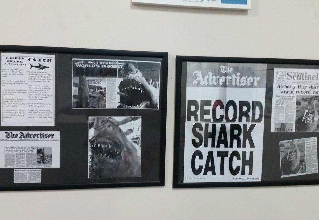 Great White Shark Replica-Streaky Bay必去景点