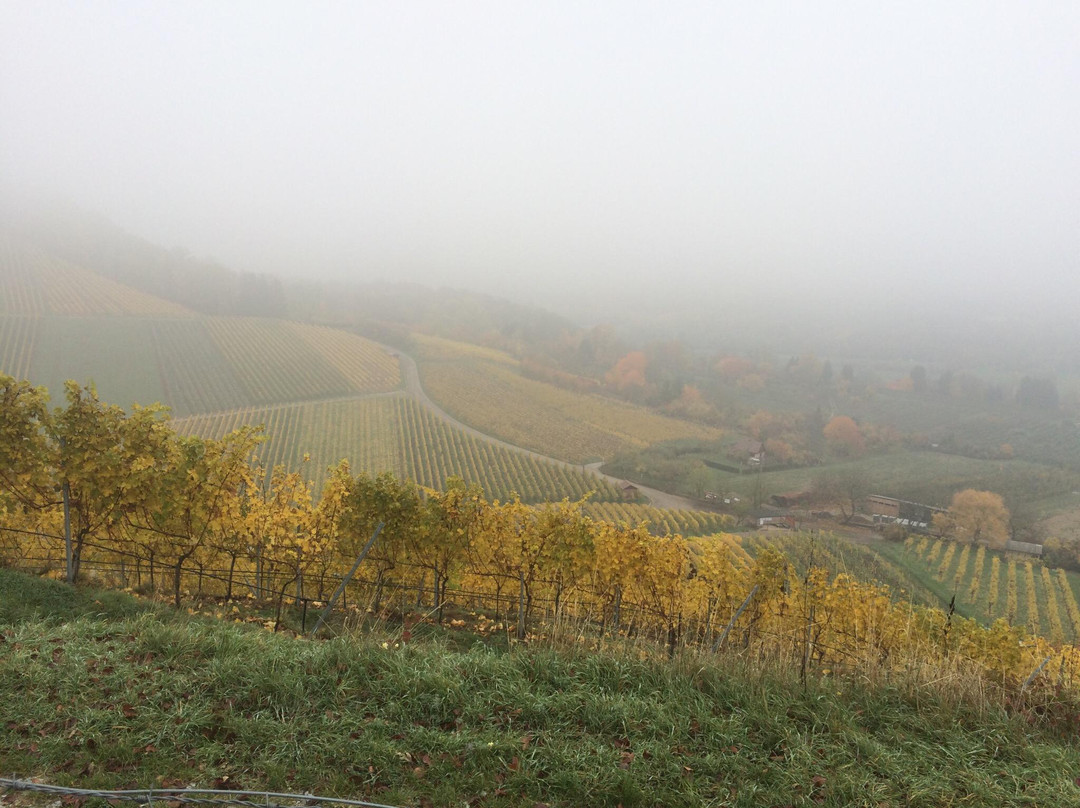 Burgruine Weibertreu景点图片