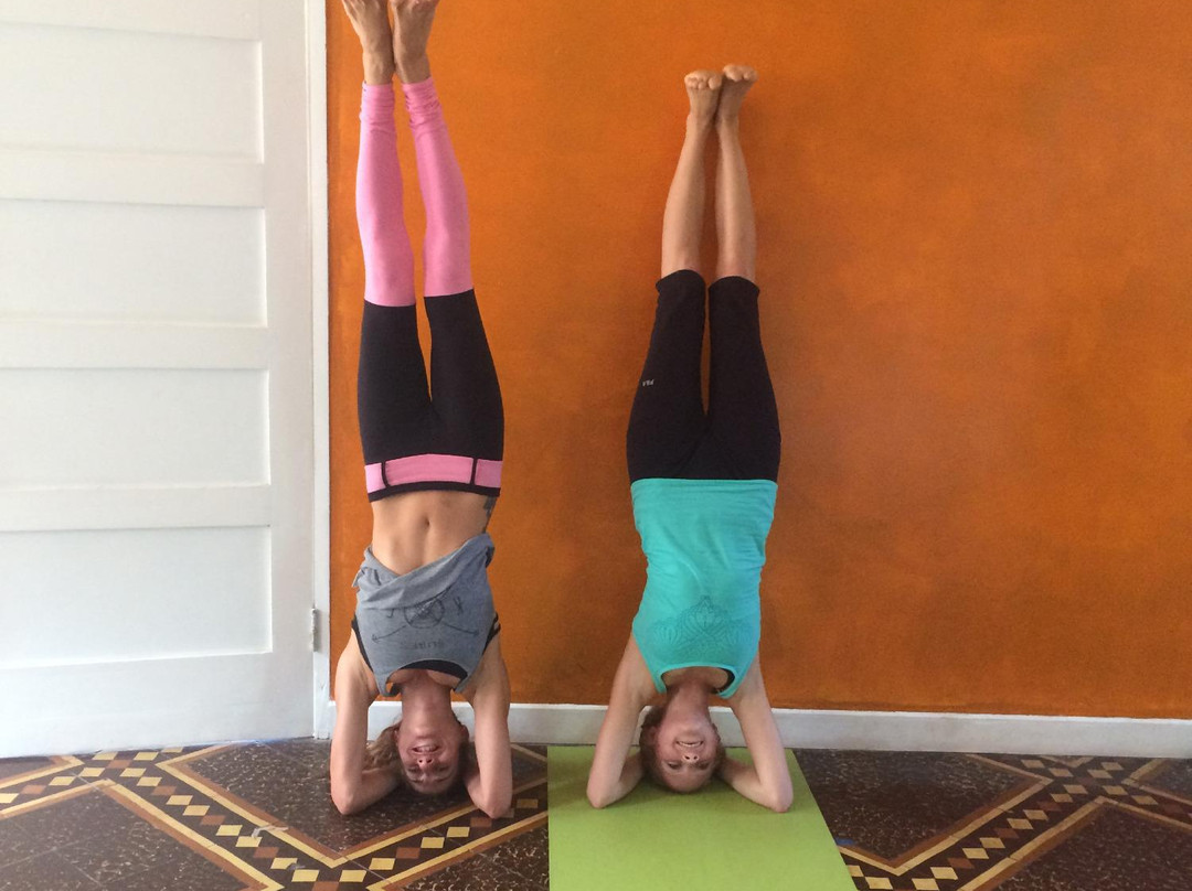 Downtown Yoga - Single Day Classes景点图片