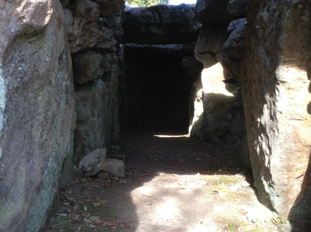 Tumulus des Mousseaux景点图片