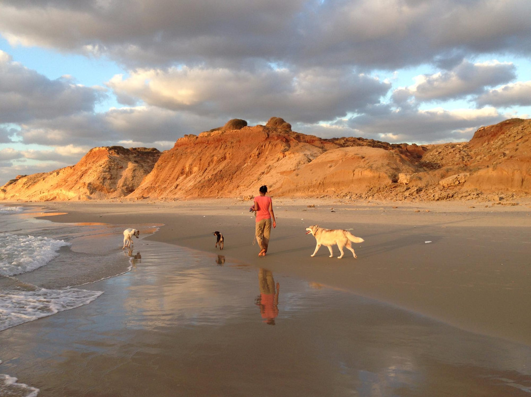 Mikhmoret Beach-Mikhmoret必去景点