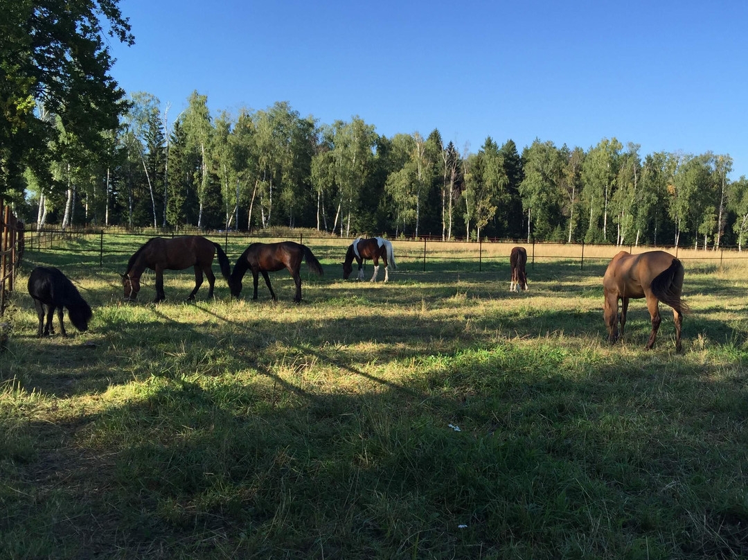 Horse Riding and Sports Club Udacha