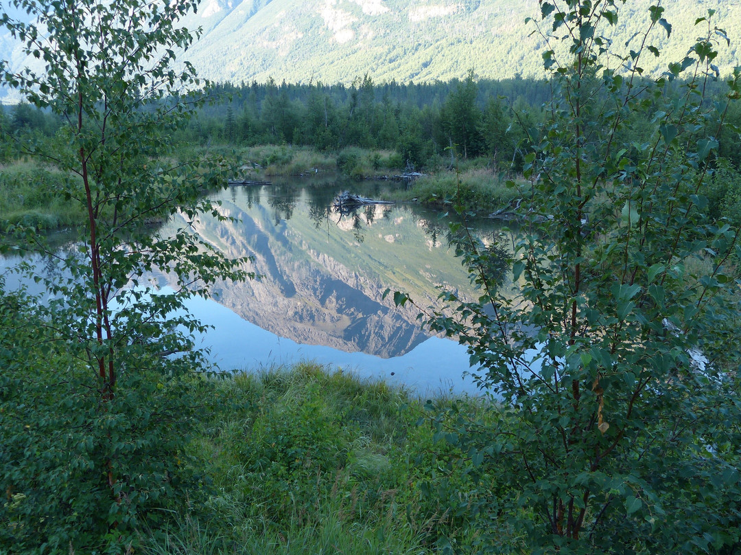 Eagle River Nature Center-伊格尔里弗必去景点