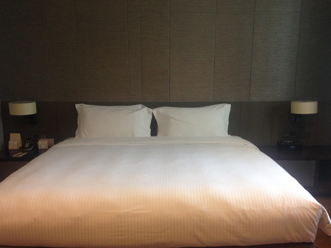 成都雅诗阁来福士主图