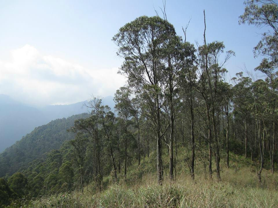Perumal Peak景点图片