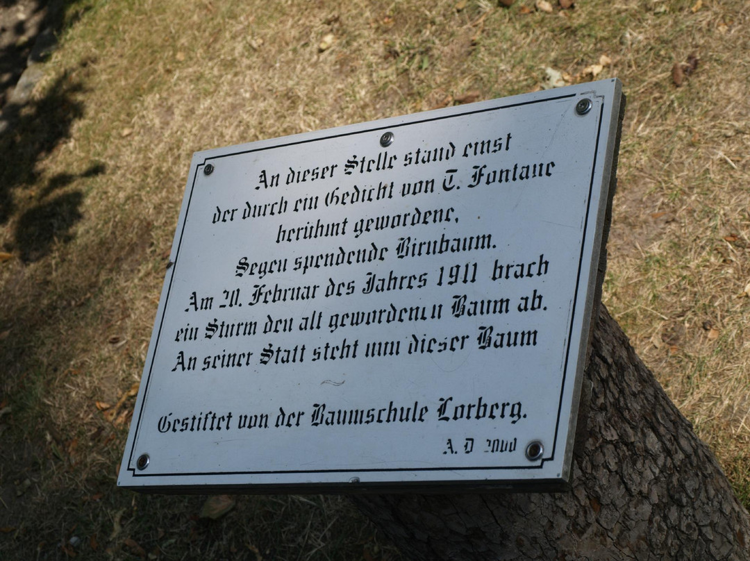 Schloss Ribbeck景点图片