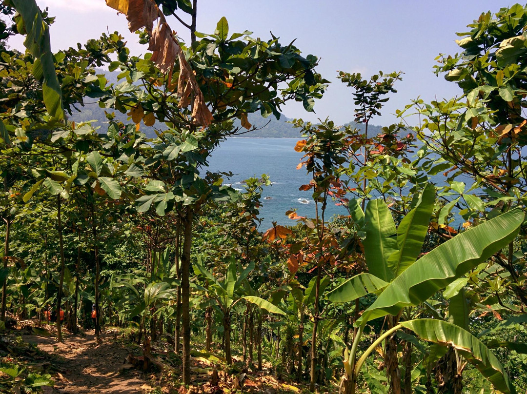 Dodo Lagoon-Tanggamus必去景点
