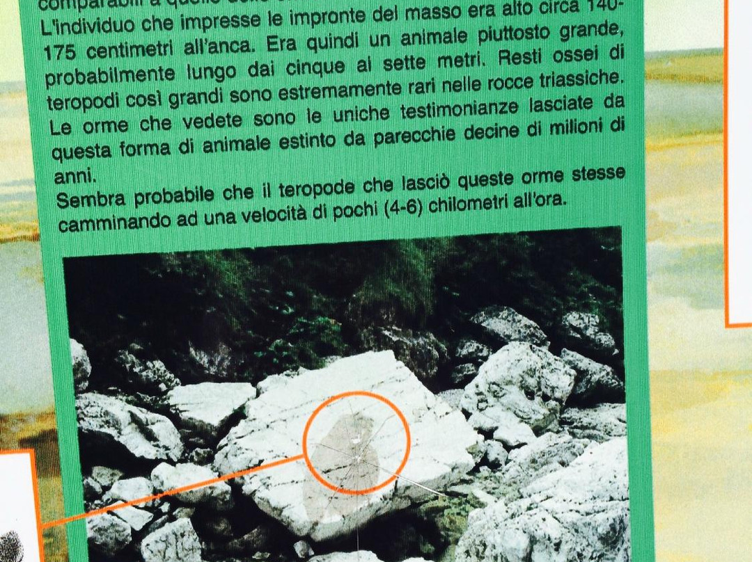 Orme di Dinosauro presso Casera Casavento景点图片