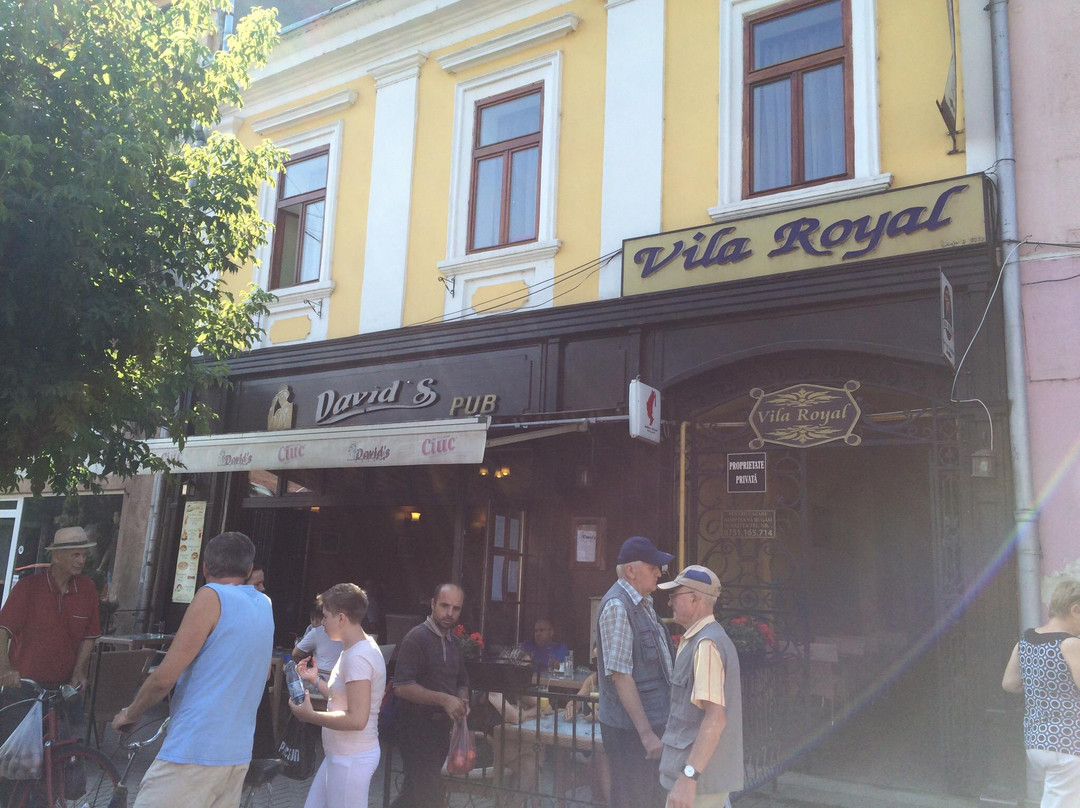 Vodytsya酒店住宿-Villa Royal