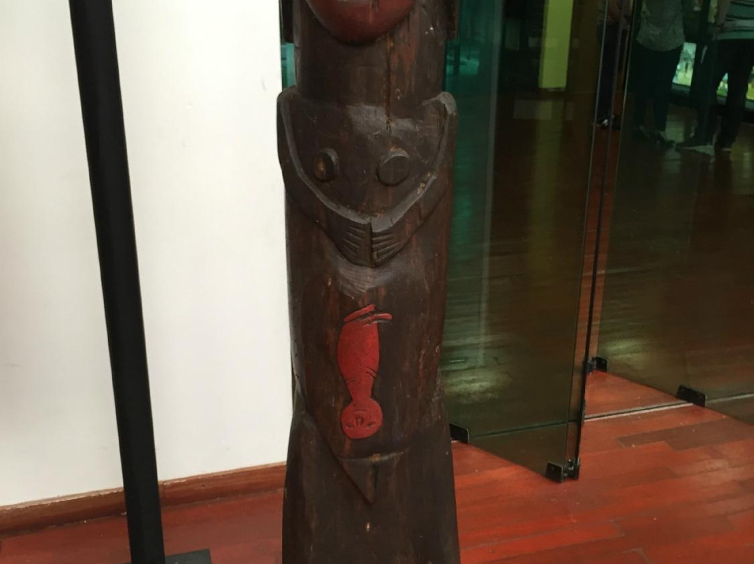 Biblioteca Da Floresta-Rio Branco必去景点