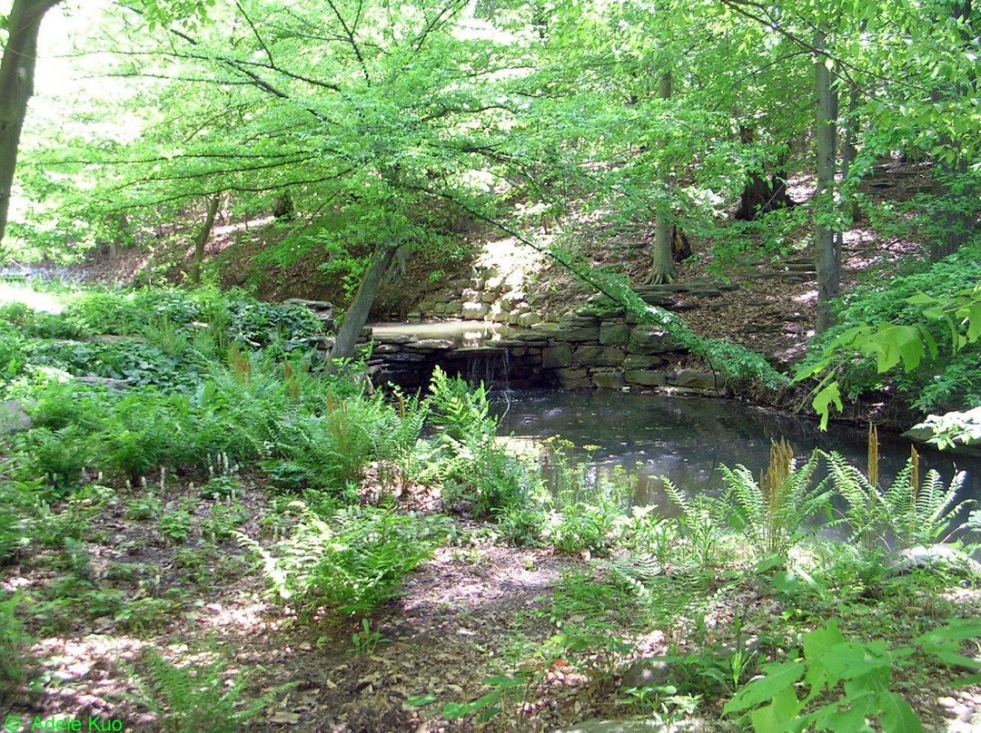 Winkler Botanical Preserve-亚历山德里亚必去景点