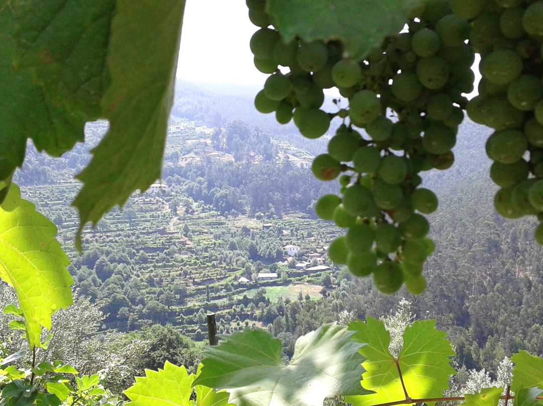 Vinho Verde Route-北葡萄牙必去景点