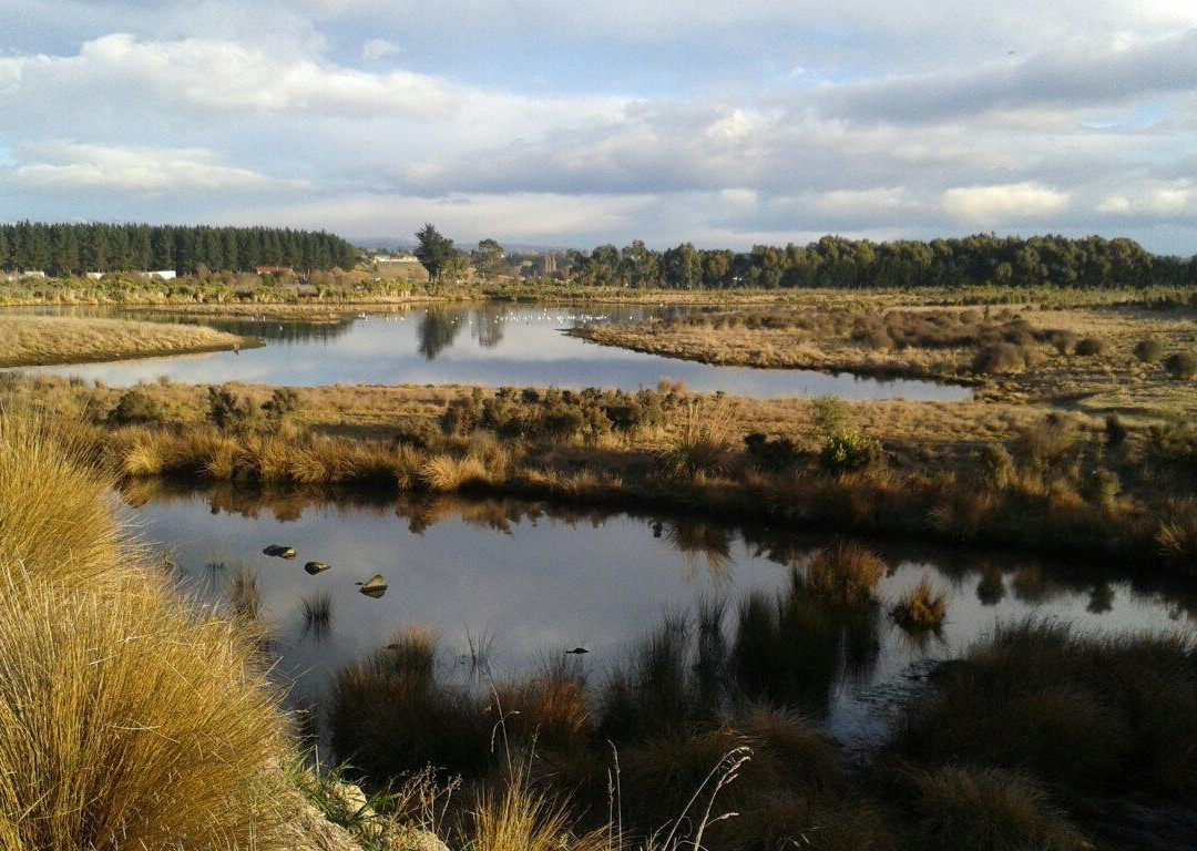 Otipua Wetland景点图片