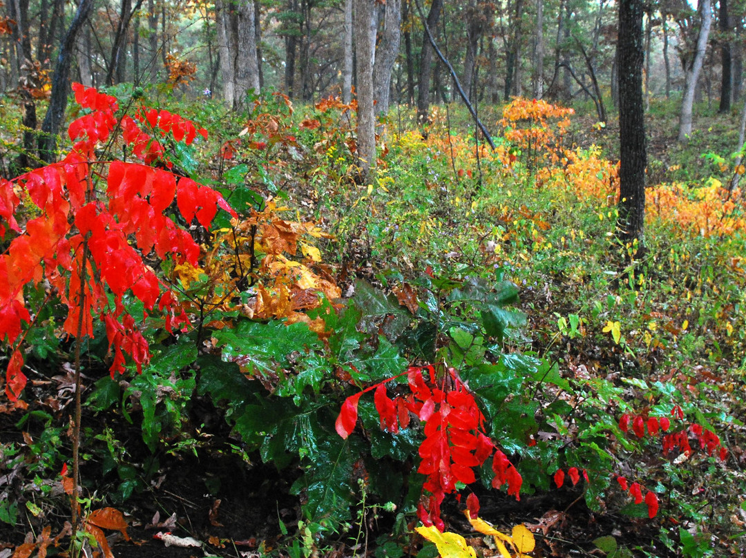 Shoal Creek Conservation Area-Litchfield必去景点