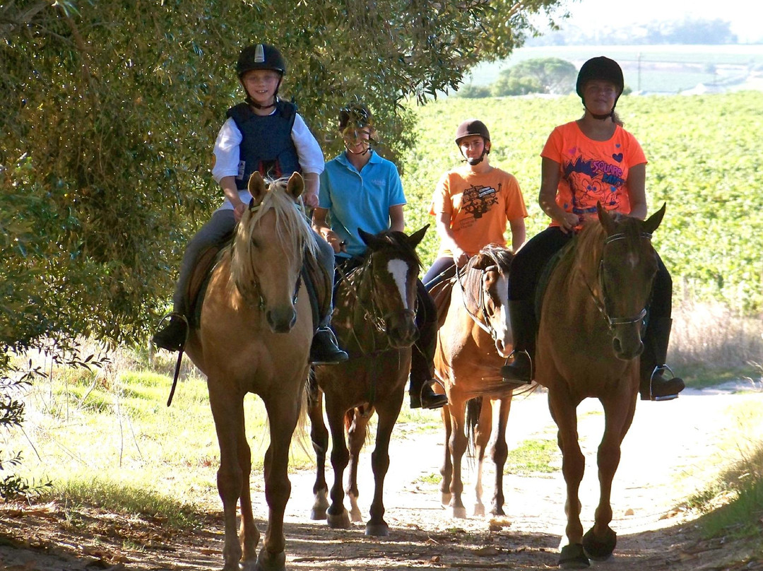 Pony Joy Rides-惠灵顿必去景点