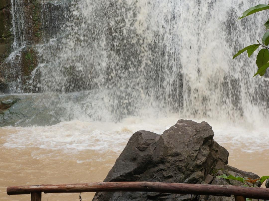 Namtok Than Thip Forest Park景点图片