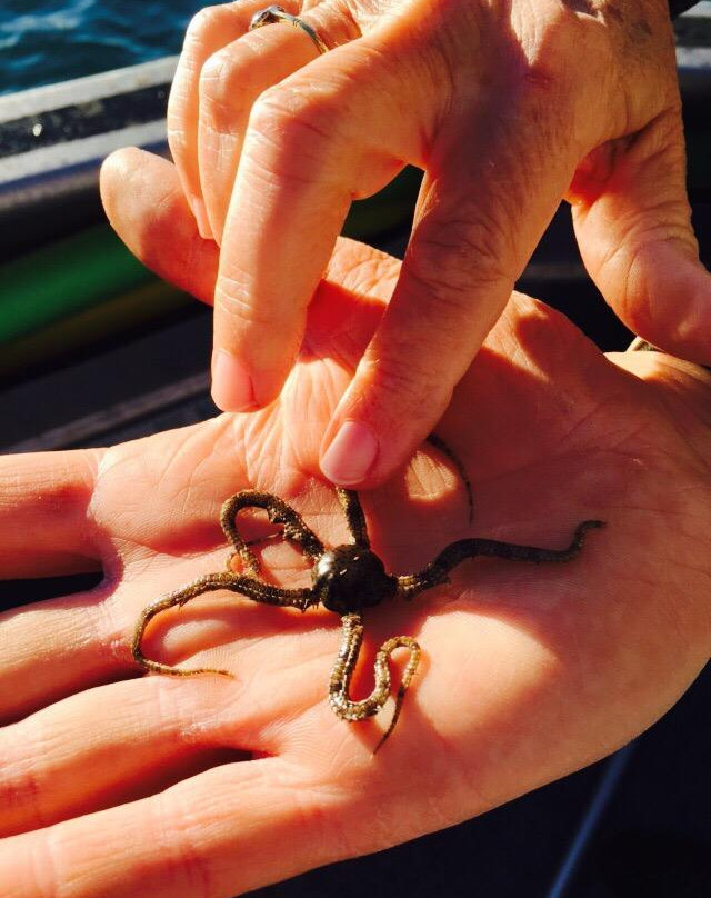 Turquoise Safaris-朱里恩湾必去景点