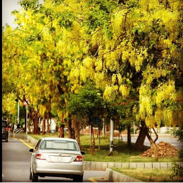 Panjab University-昌迪加必去景点