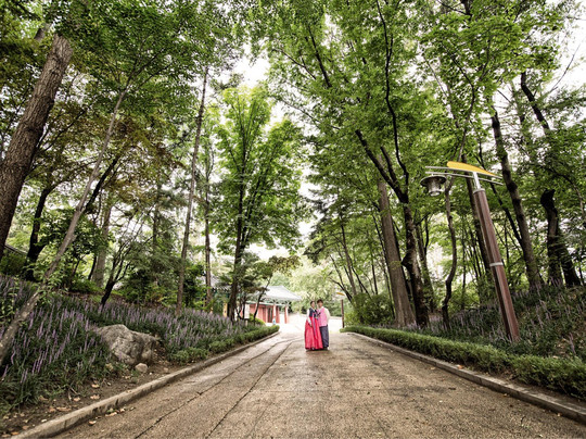 Nakseongdae Park-首尔必去景点