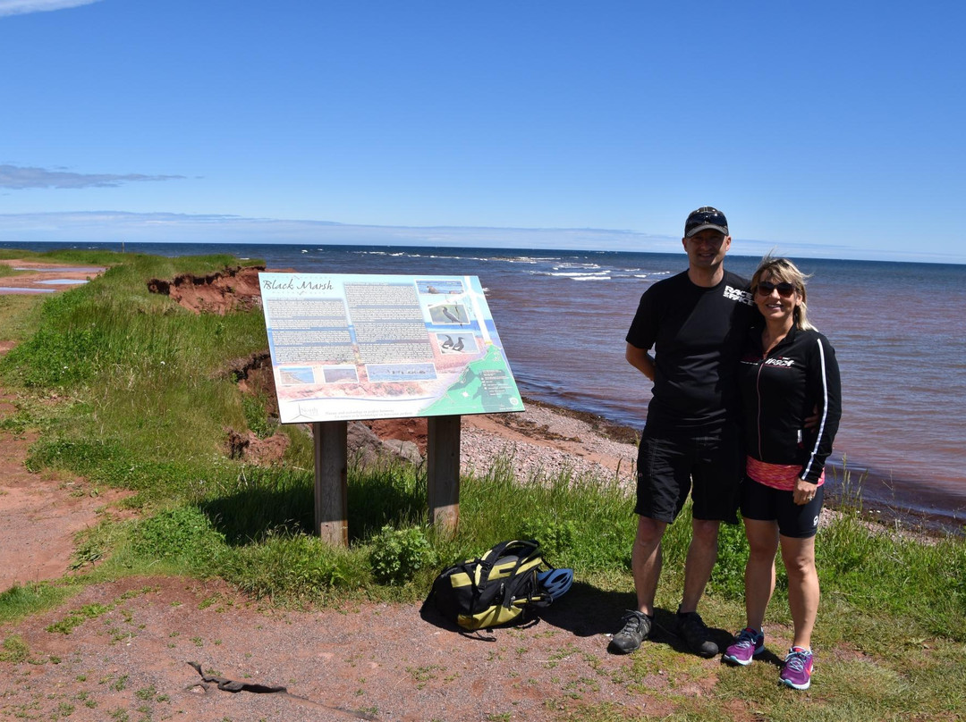 George Larter PEI-夏洛特镇必去景点