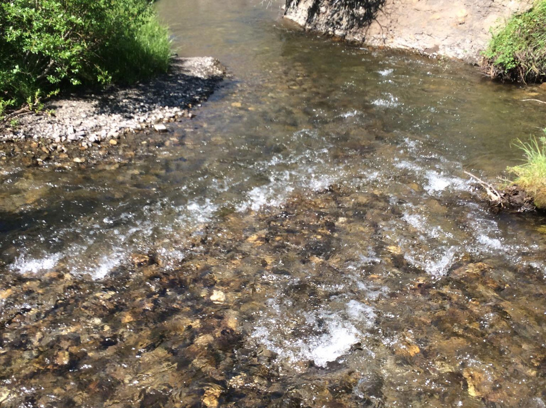 Hidden Trails Adentures-科克伦必去景点