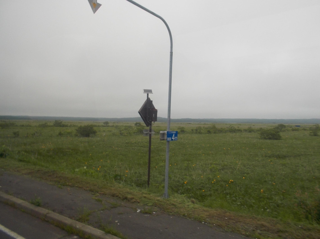 甘地路-滨中町必去景点